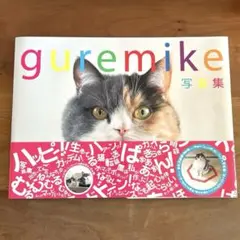 guremike写真集