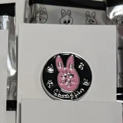 StrayKids スキズ 展示会 ランダムピンバッジ チャンビン