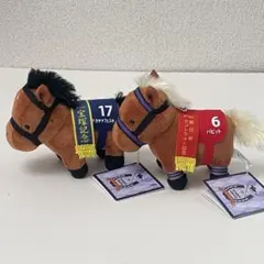 バビット ナカヤマフェスタ フェノーメノ シンボリルドルフ