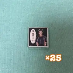 2026年最新】アクリルタイル ハイキューの人気アイテム - メルカリ