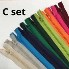 【SALE中】ファスナーC set/50本