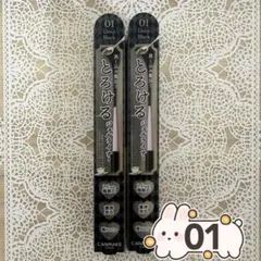 Item thumbnail for item ede4602e-bc42-412e-896e-600967dc70f2