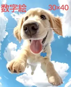 数字絵キット　ペイントバイナンバー　30×40