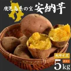 鹿児島県産 安納芋 5㎏ 大サイズ 訳あり さつま芋 さつまいも 151