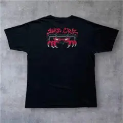 santacruz サンタクルズ NHS XL ヴィンテージ オールドスケート - メルカリ