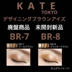 ケイト　デザイニングブラウンアイズBR-7/BR-8【廃盤色】【未開封新品】2点