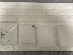 Item thumbnail for item 5244b4fd-20c8-400b-85e1-233d456293f4