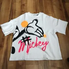 Disney × ZARA ディズニー ザラ スウェット
