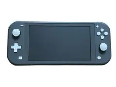 【大幅値下げ中】Switch Lite グレー 本体のみ スティック削れあり