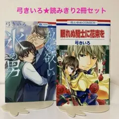 弓きいろ★私が欲しい氷の男★眠れぬ騎士に花束を★コミックス★漫画本