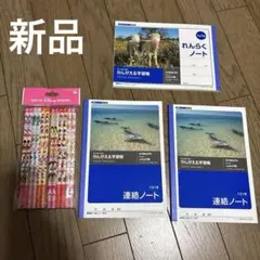 新品　連絡帳3冊、ディズニーリゾート　キャラクター鉛筆セット