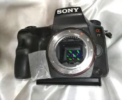 SONY α65 アルファ 2435万画素 ボディ ストロボ付き - メルカリ