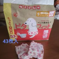 Item thumbnail for item 170c1a6e-4b09-4c5d-bc50-fb06f413595f