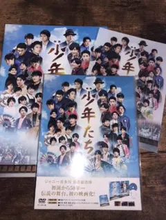 映画 少年たち 特別版 + パンフレット