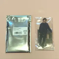 THE LAST PIECE ルイ　アクスタ