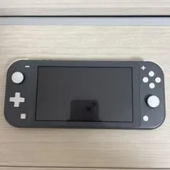 Nintendo Switch Lite グレー 本体 ジャンク品