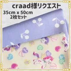【craad様リクエスト】35×50 ランチョンマット 給食ナフキン ２枚セット