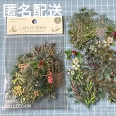 Item thumbnail for item 8fa83656-4afe-410a-a89b-6dd283d7af4a