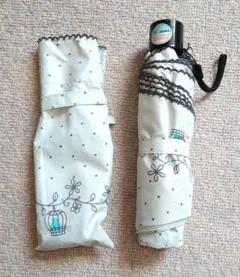 Item thumbnail for item 71052a53-5d08-453b-a8aa-90f6d09e35d7