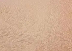 Item thumbnail for item ed337880-b519-4dac-8328-07e5301b02ce