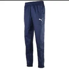 Item thumbnail for item 6e596202-10bd-4d20-ad97-75afc702ad98