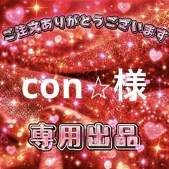 con⭐︎様　専用出品ページ
