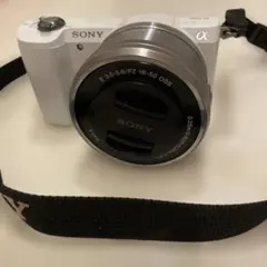 シャッター884回美品✨軽量218g旅行最適NEX-5T 258 - メルカリ