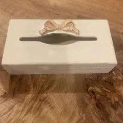 ルシア様専用ページ エコクラフト クラフトバンド ティッシュケース