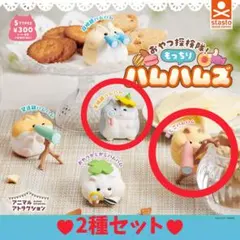 【ガチャ】アニマルアトラクション おやつ探検隊!もっちりハムハムズ 2種セット
