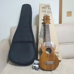 Item thumbnail for item 55aa6c42-c979-43ff-9492-4042f5f3cfa4