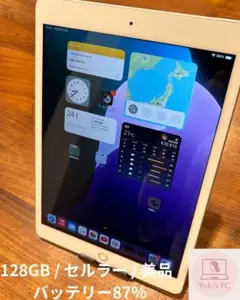 【美品】iPad 第7世代 128GB セルラー SIMフリー シルバー