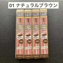 キャンメイク スタイリングエッジアイブロウ 01 ナチュラルブラウン　4本