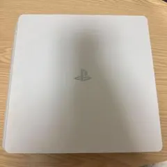 PS4本体のみ