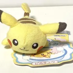 ポケモン 洗えるぬいぐるみ ピカチュウのサムネイル
