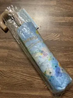 Item thumbnail for item fe58448c-8647-418a-bb8f-19b6c6bdda07