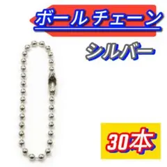 ボール チェーン シルバー 30本 ハンドメイド キーホルダー ストラップ