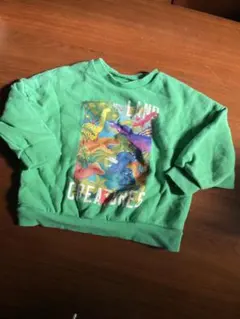 恐竜プリント グリーントレーナー