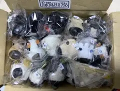 Item thumbnail for item c615f390-1ec5-4695-ab9e-572f42a5f88c