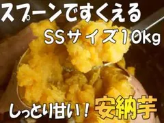 10kg 【安納芋】SSサイズ☆しっとり甘い☆黄金の蜜芋☆さつまいも