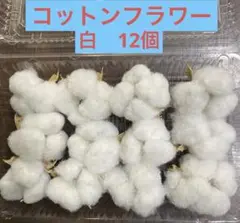 コットンフラワー(白) 12個