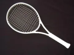 2026年最新】テニスラケット プリンス エンブレム110の人気アイテム