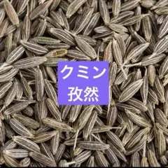 大和当帰の種⭐農薬不使用⭐漢方 - メルカリ