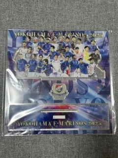 サンフレッチェ広島 満田誠選手直筆サイン入りフラッグ 2022ルヴァン杯