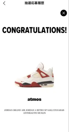 2026年最新】NIGEL SYLVESTER AIR JORDAN 4の人気アイテム - メルカリ