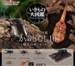 いきものの大図鑑 かぶとむし10 コンプリートセット　オンライン限定版