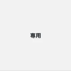 専用 トップス