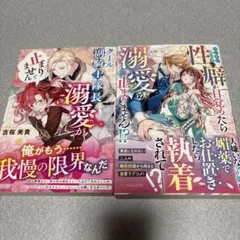 TL小説　2冊セット