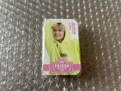 超特急 アロハ EBiDAN museum マルチ缶ケース 髙松アロハ グッズ