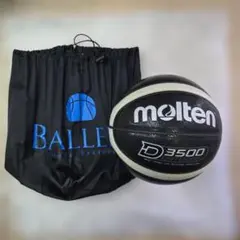 Item thumbnail for item 462a269e-04c6-4b86-b0f0-f62c9b40352b