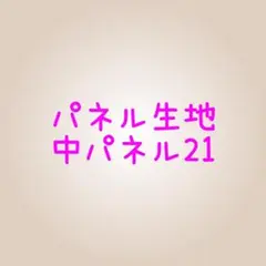 ハンドメイド　パネル生地　中パネル21【画像2.3】